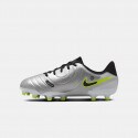 Nike Jr Legend 10 Academy Fg/Mg