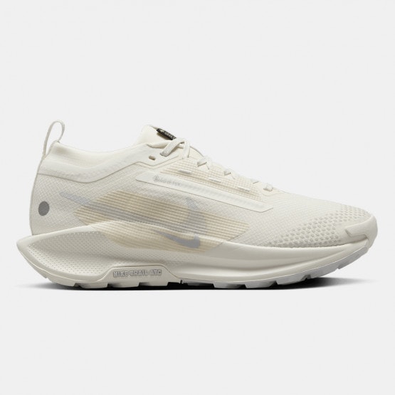 Nike Pegasus Trail 5 Gtx Women's Trail Shoes
