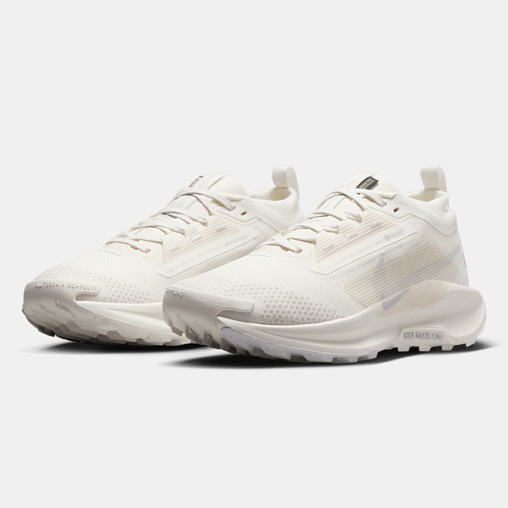 Nike Pegasus Trail 5 Gtx Women's Trail Shoes