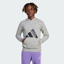 adidas sportswear Essentials Hoodie Kids