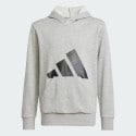 adidas sportswear Essentials Hoodie Kids