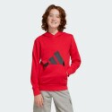 adidas-sportswear-essentials-hoodie-kids