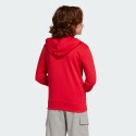 adidas sportswear Essentials Hoodie Kids