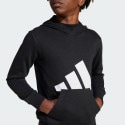 adidas sportswear Essentials Hoodie Kids