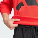 adidas sportswear Essentials Big Logo French Terry Hoodie