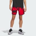 adidas-crazy-lite-shorts