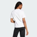 adidas sportswear Essentials 3-Stripes Cotton Tee