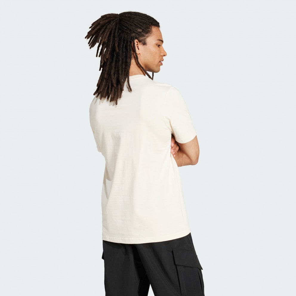adidas Terrex Graphic Tee