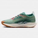 Nike Pegasus Trail 5 GORE-TEX Ανδρικά Παπούτσια για Τρέξιμο