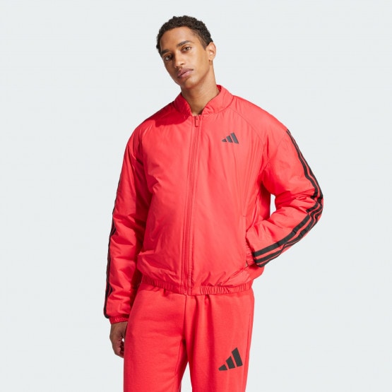 adidas sportswear Essentials 3-Stripes Insulated Bomber Jacket