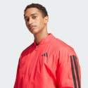 adidas sportswear Essentials 3-Stripes Insulated Bomber Jacket