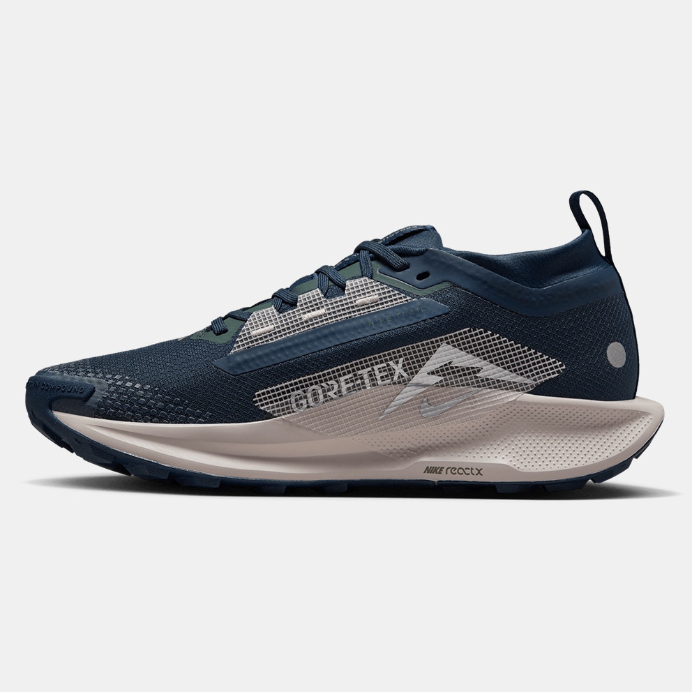 Nike Pegasus Trail 5 Gtx Women's Trail Shoes