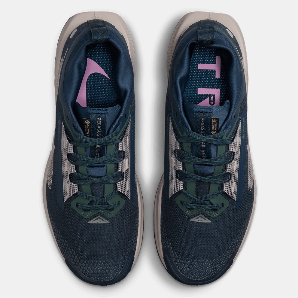 Nike Pegasus Trail 5 Gtx Women's Trail Shoes
