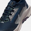 Nike Pegasus Trail 5 Gtx Women's Trail Shoes
