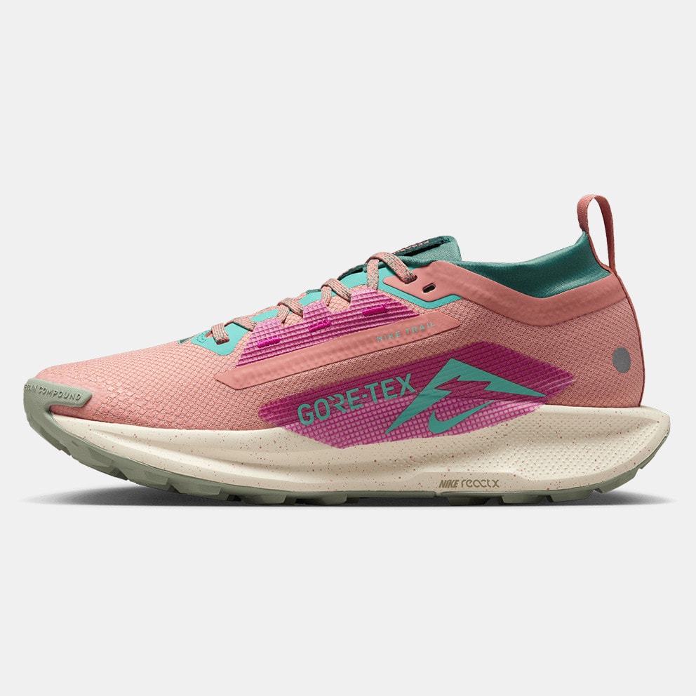 Nike Pegasus Trail 5 Gtx Women's Trail Shoes