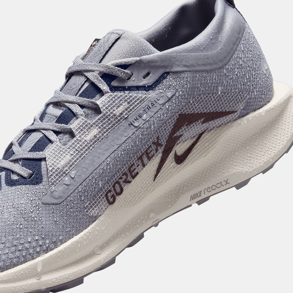 Nike Pegasus Trail 5 GORE-TEX Men's Trail Shoes