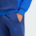 adidas sportswear Sportswear Fleece Colorblock Hooded Tracksuit