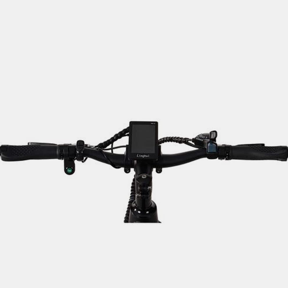 Egoboo E-Bike E-Treck W6