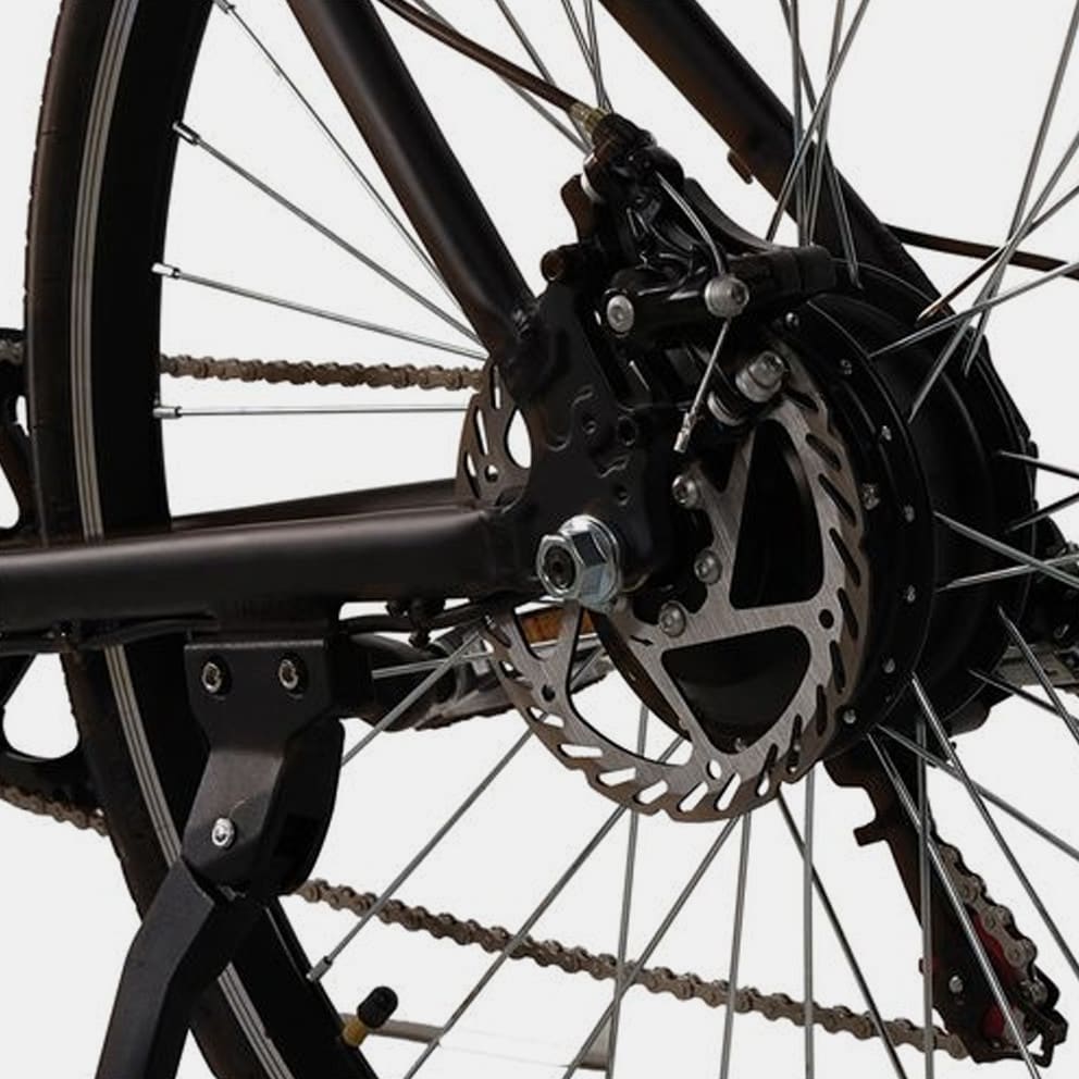 Egoboo E-Bike E-Treck W6