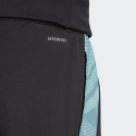 adidas Fc Bayern Tiro 24 Training Pants