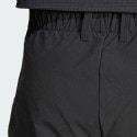adidas Terrex Techrock Brushed Softshell Pants