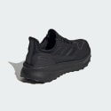 adidas Ultraboost Shoes
