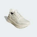adidas Ultraboost Shoes