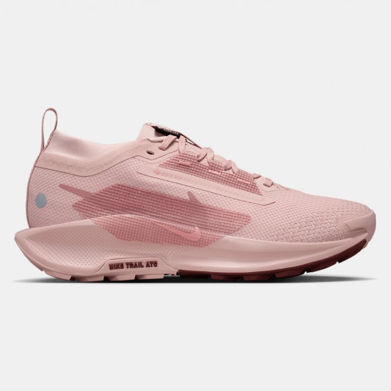 Nike Pegasus Trail 5 Gtx Women's Trail Shoes