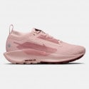 nike-w-pegasus-trail-5-gtx