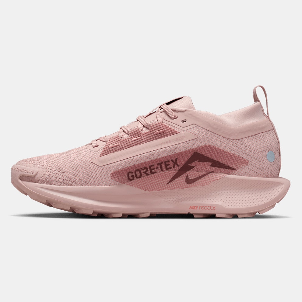 Nike Pegasus Trail 5 Gtx Women's Trail Shoes