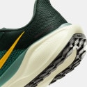 Nike Pegasus 41 Men's Running Shoes