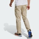 adidas Terrex Xperior Pants