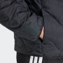 adidas sportswear Nuganic Winter Insulation Jacket