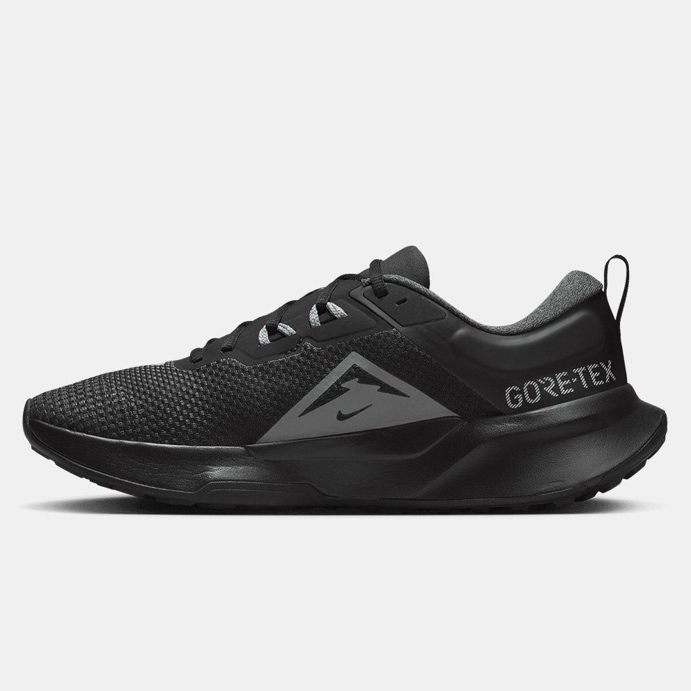 Nike Juniper Trail 2 GORE-TEX Ανδρικά Παπούτσια για Trail