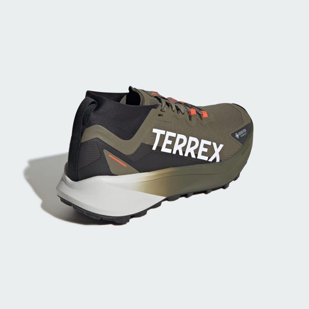 adidas Terrex Terrex Agravic GTX Trail Running Shoes