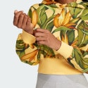 adidas sportswear X Farm Hoodie