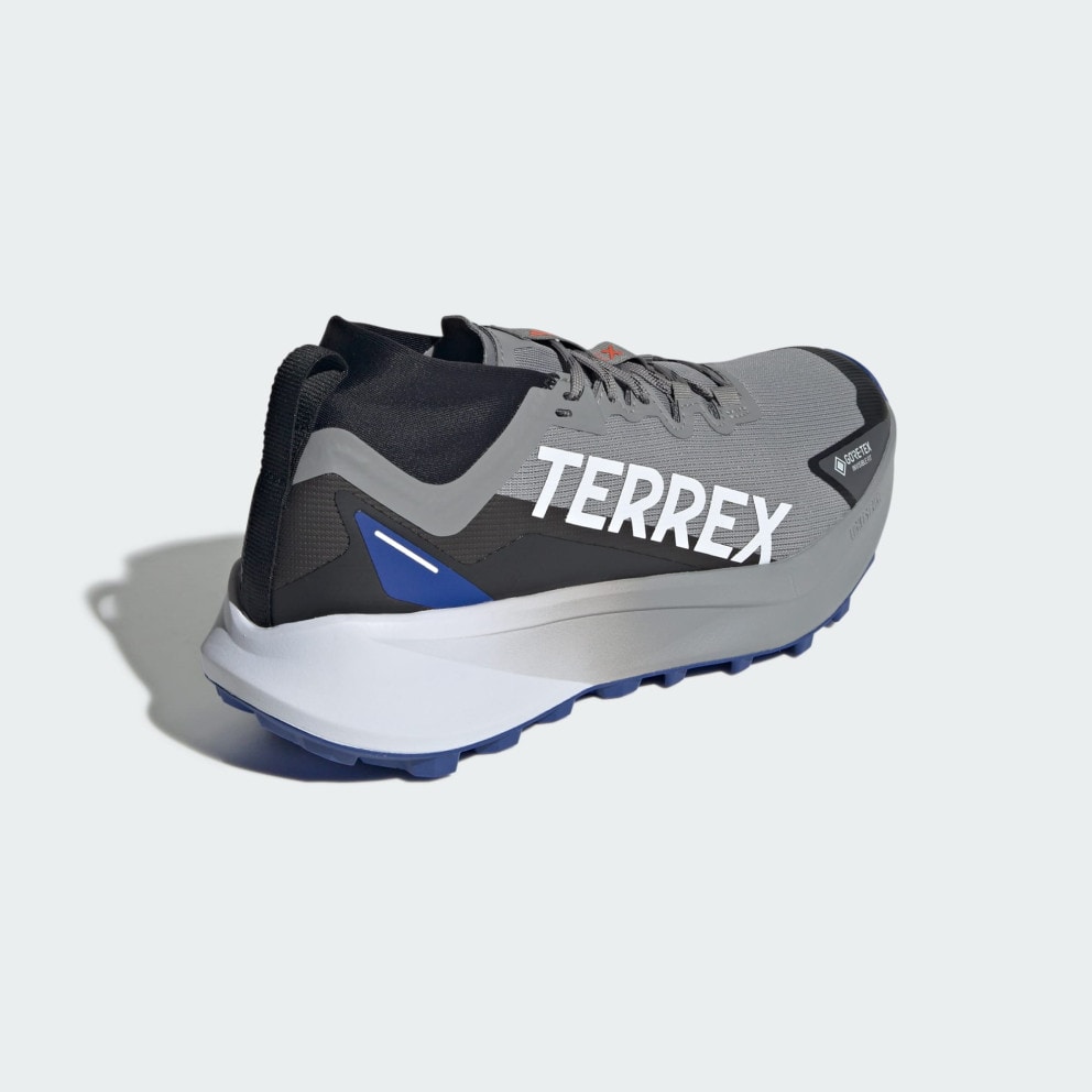 adidas Terrex Agravic Gtx Trail Running Shoes