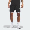 adidas-crazy-lite-shorts