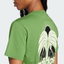 adidas sportswear X Farm Graphic Tee