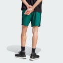 adidas sportswear Essentials 3-Stripes Chelsea Shorts
