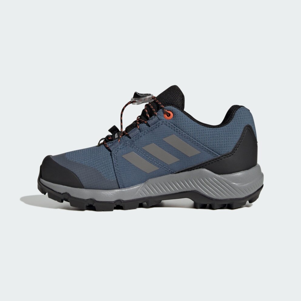 adidas Terrex Gore-Tex Hiking Shoes