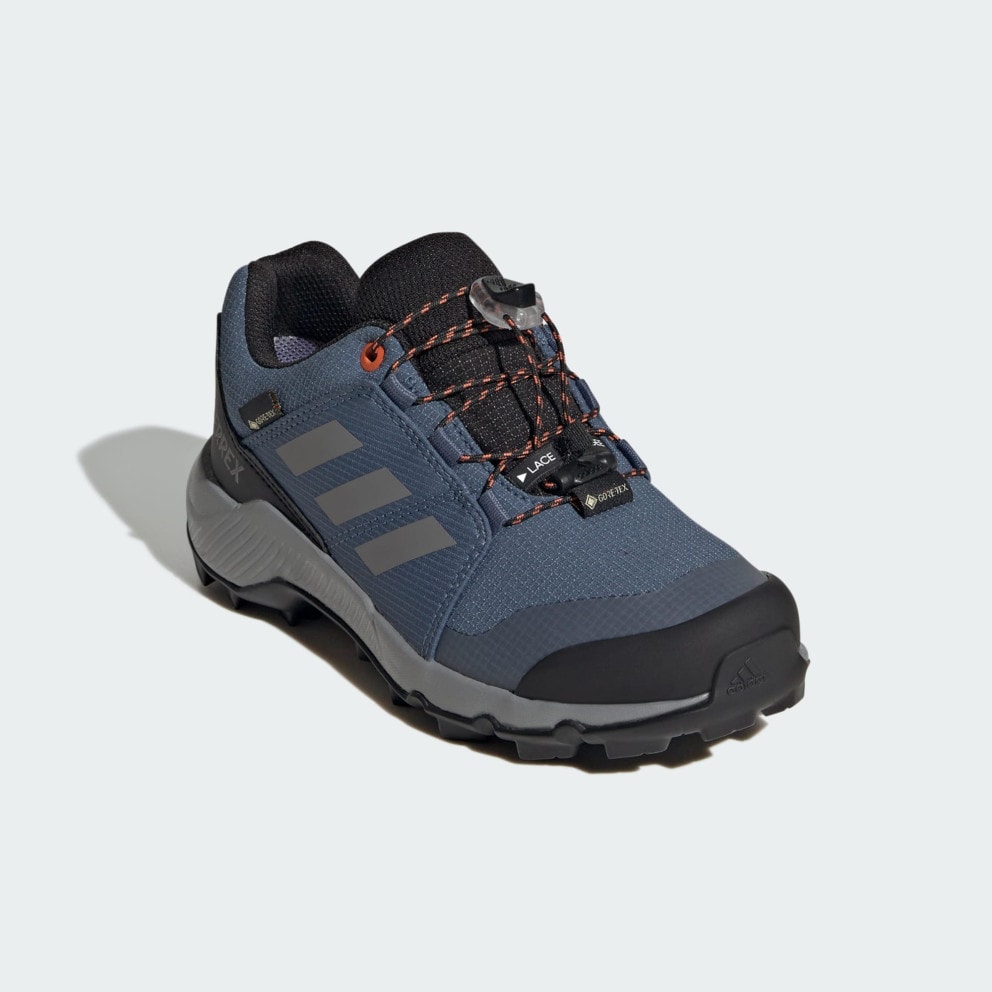 adidas Terrex Gore-Tex Hiking Shoes
