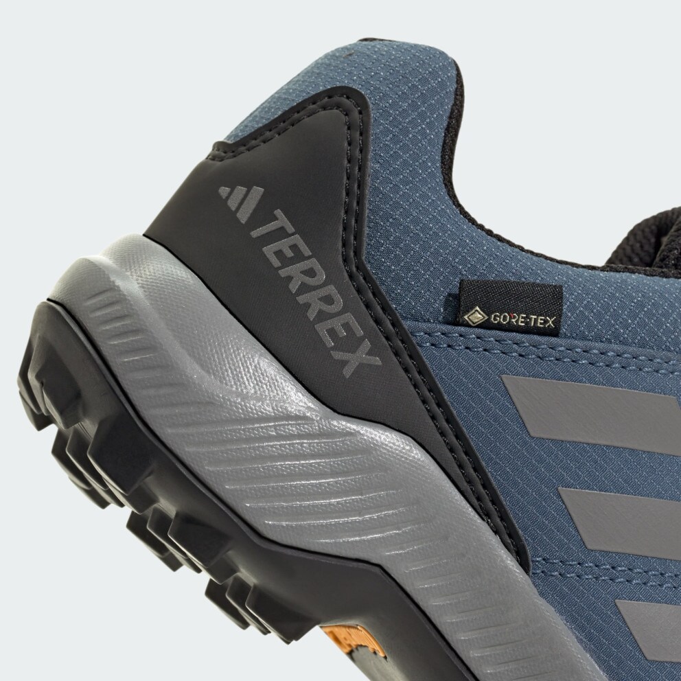 adidas Terrex Gore-Tex Hiking Shoes