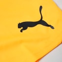 Puma Teamgoal Kids' Shorts