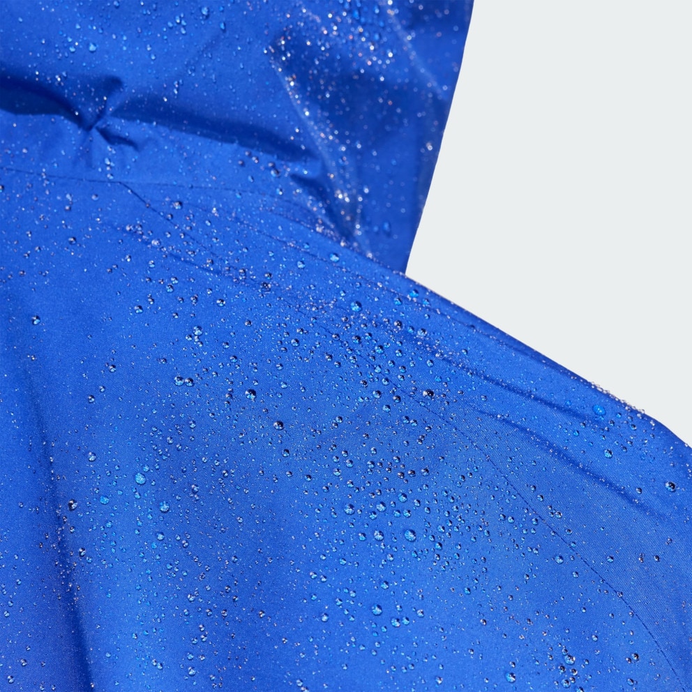 adidas Terrex Xperior 2L Gore-Tex Performance Jacket