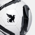 OFI OFFICIAL BRAND Football Ball OFI