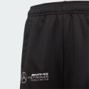 adidas Mercedes - Amg Petronas Formula One Team Dna Pant
