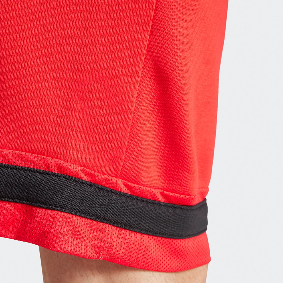 adidas Sportswear Men's Shorts