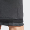 adidas Sportswear Men's Shorts