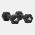 adidas Dumbbells  3Kg Dumbells
